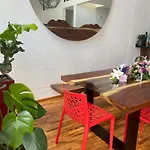 Casa 7
